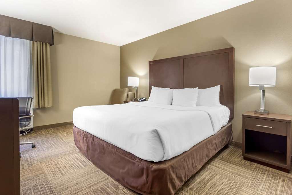 Comfort Inn & Suites Sea-Tac Airport SeaTac Habitación foto