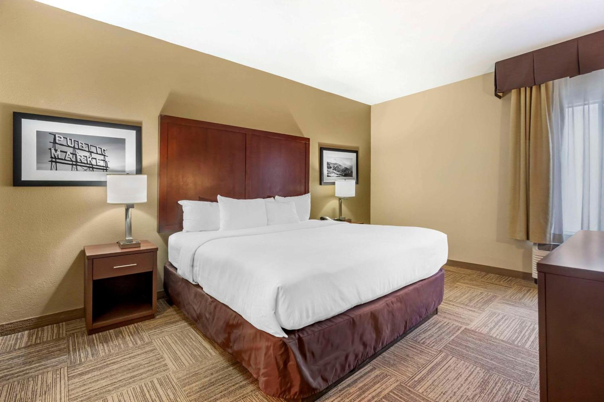 Comfort Inn & Suites Sea-Tac Airport SeaTac Exterior foto