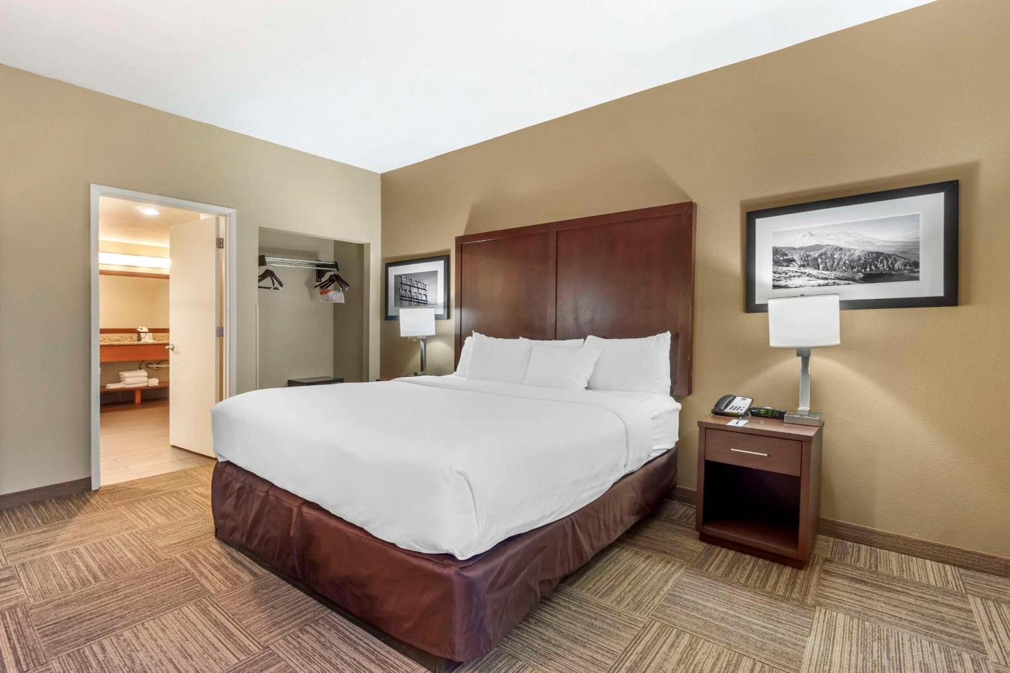 Comfort Inn & Suites Sea-Tac Airport SeaTac Exterior foto